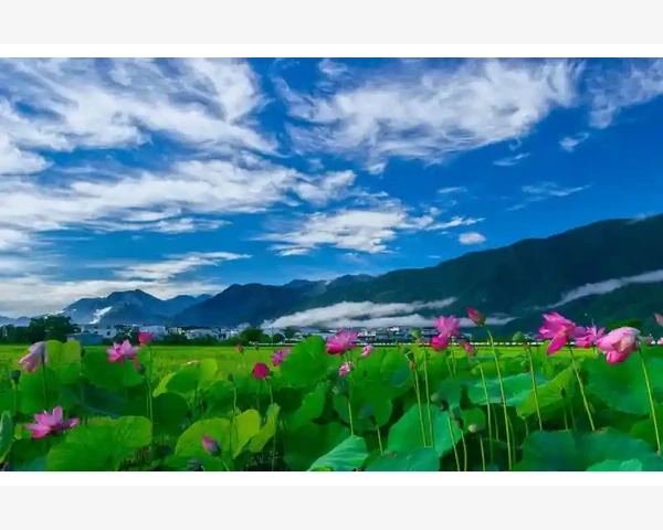 B2B机票系统开启企业差旅高效新篇章_选对平台是高效采购的第一步
