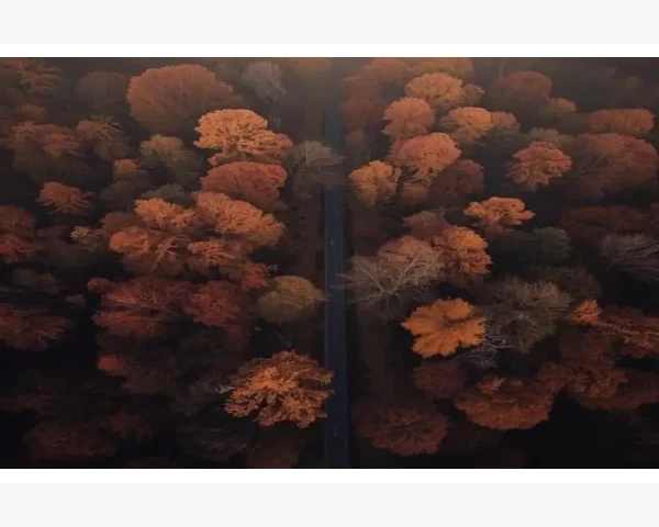 选型时容易踩的坑与实用建议_B2C和B2B商业模式的核心差异