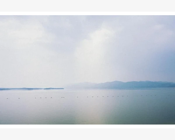 维护关系与持续优化策略_伺服电机运行核心与日常保养关键