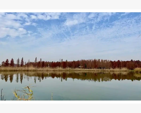 农业B2B网站如何打通产销全链条_关系维护中的长期信任构建