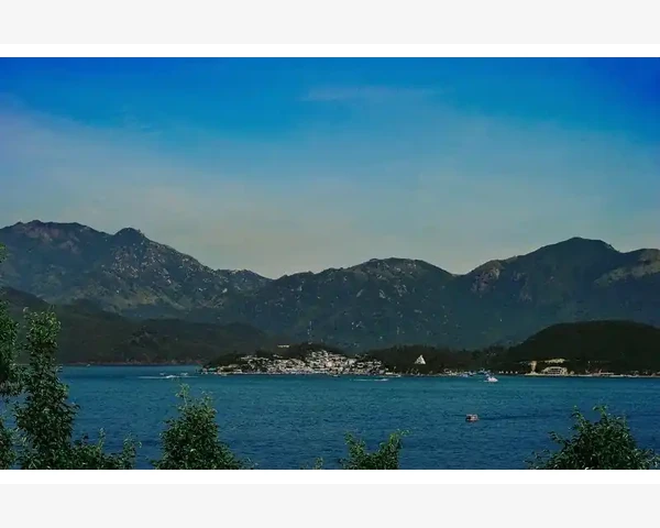MT4自定义指标开机自启与模板保存技巧