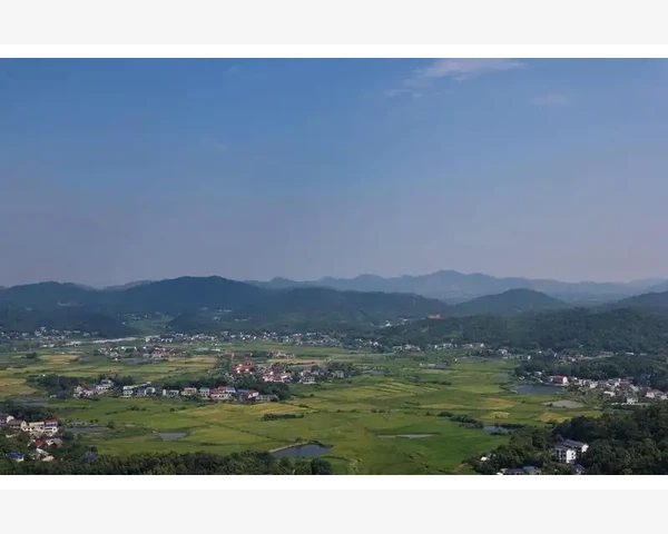 MT4手机端隐藏多余交易品种的实用操作技巧_特殊时段和特殊情况的应对办法