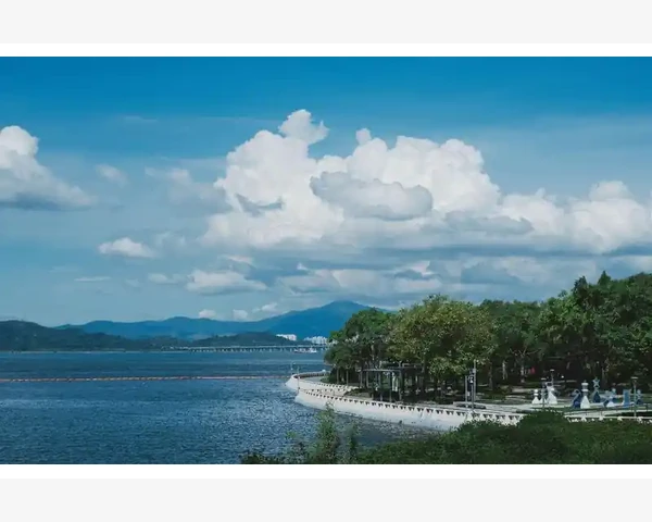 产业园区和孵化器藏着隐形福利_农产品批发商用B2B敲开商超大门