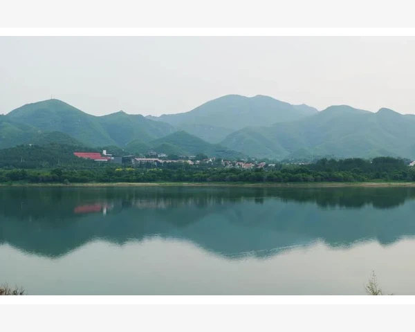 实际运行中的维护与成本控制_电动磨刀器使用技巧与日常养护要点