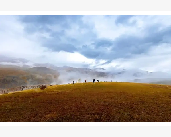 实际选型中的平衡策略与注意事项_综合型B2B平台网站选择与功能对比