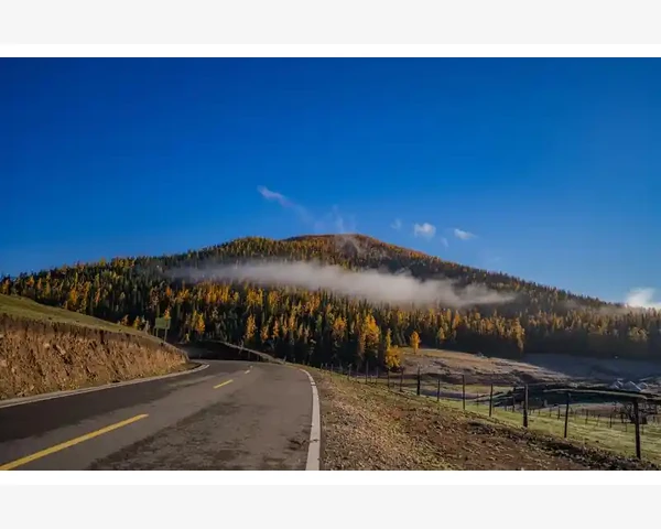 湿度控制的核心原理与误区_B2B网站特性对比与选型要点